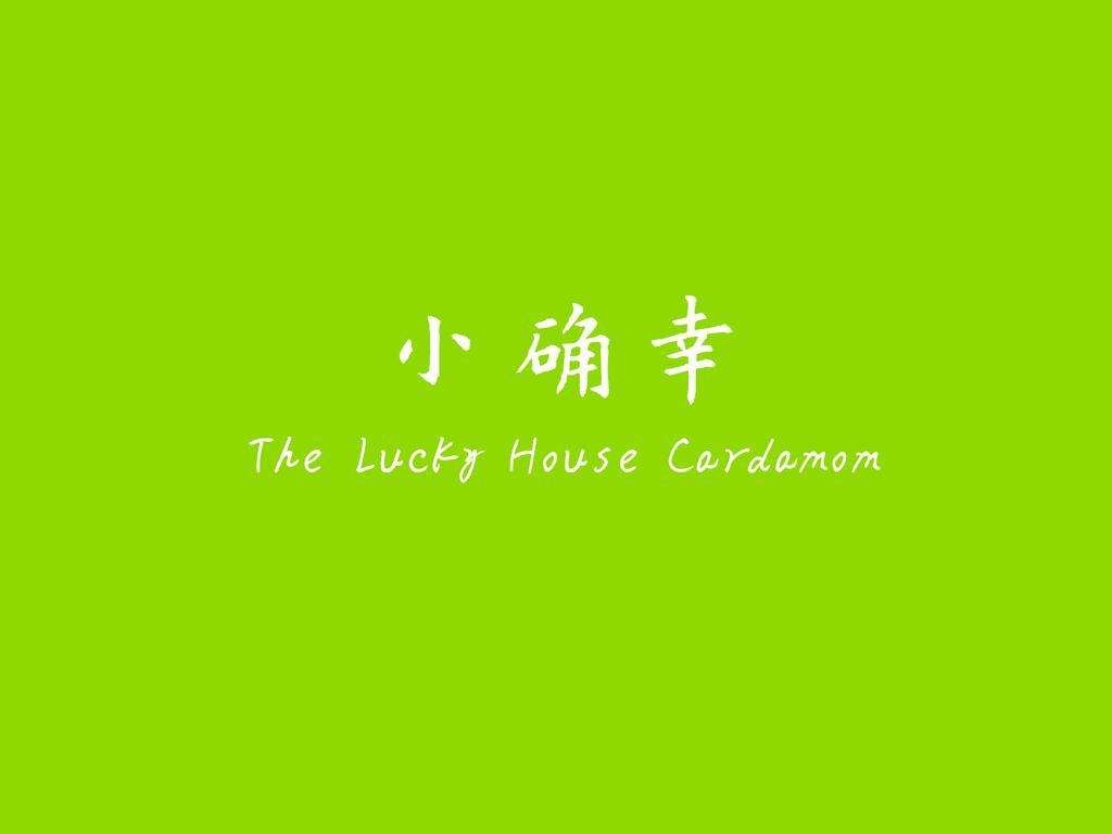 شقة The Lucky House Cardamom بورت ديكسون المظهر الخارجي الصورة